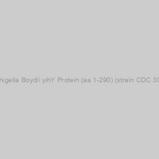 Image of Recombinant Shigella Boydii yihY Protein (aa 1-290) (strain CDC 3083-94 / BS512)